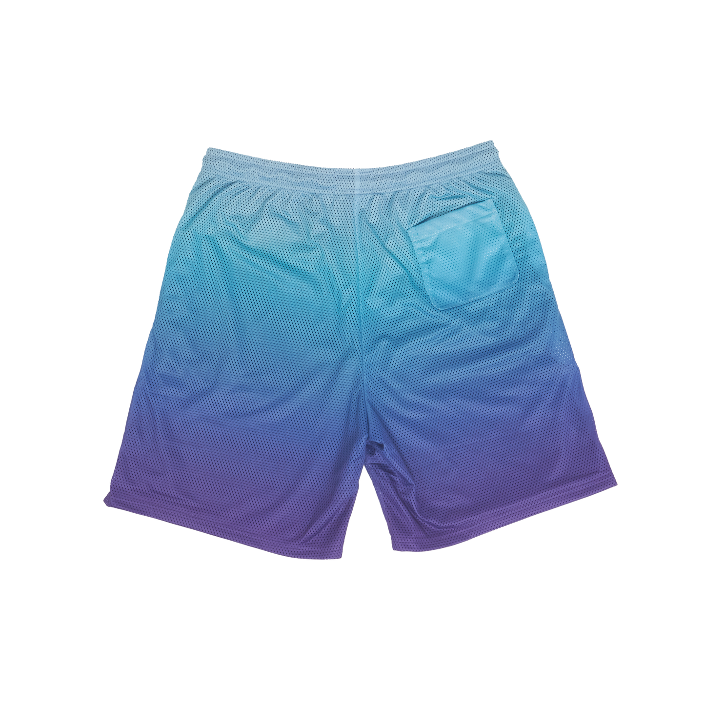 GRADIENT MESH SHORTS